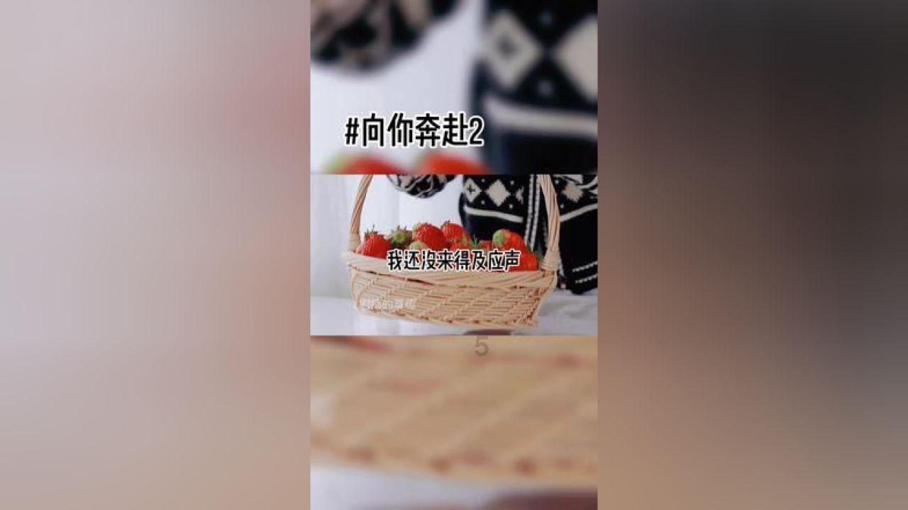 指挥官营救